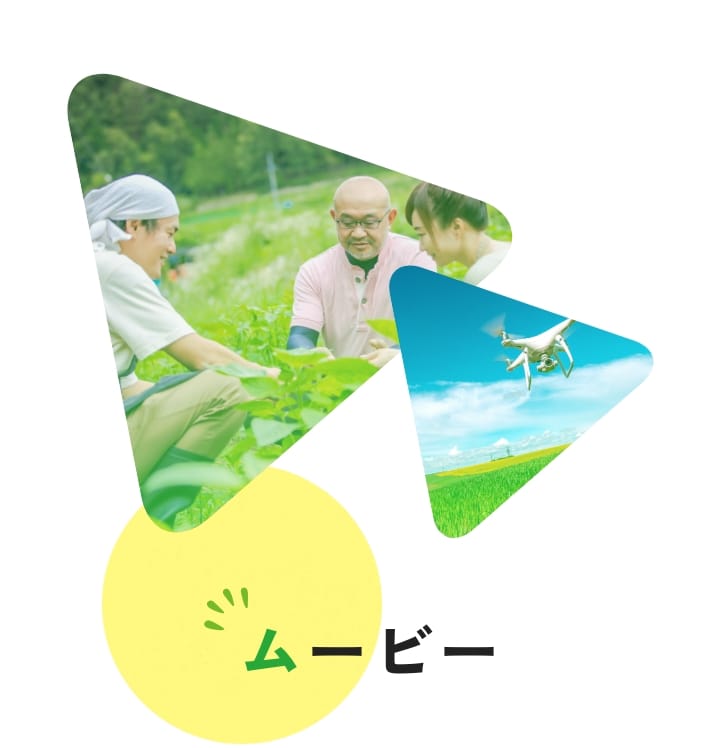 ムービー
